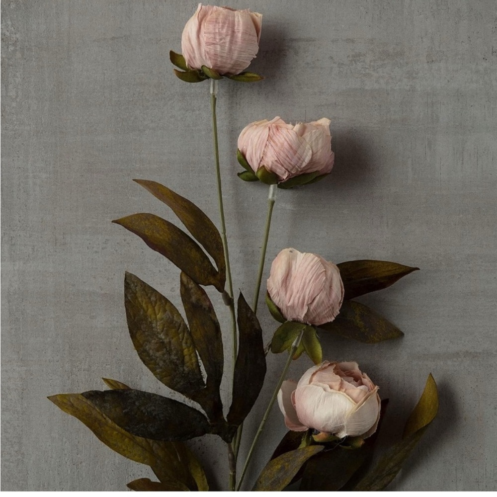 Tan and cream peony stems by Ashland 5 Tan & 5 cream - Picture 2 of 8